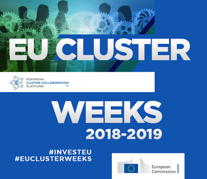 Skillman takes part in the 'EU Cluster Weeks 2018-2019'
